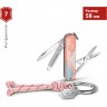 Складной нож VICTORINOX CLASSIC SD PARIS STYLE 0.6223.E221